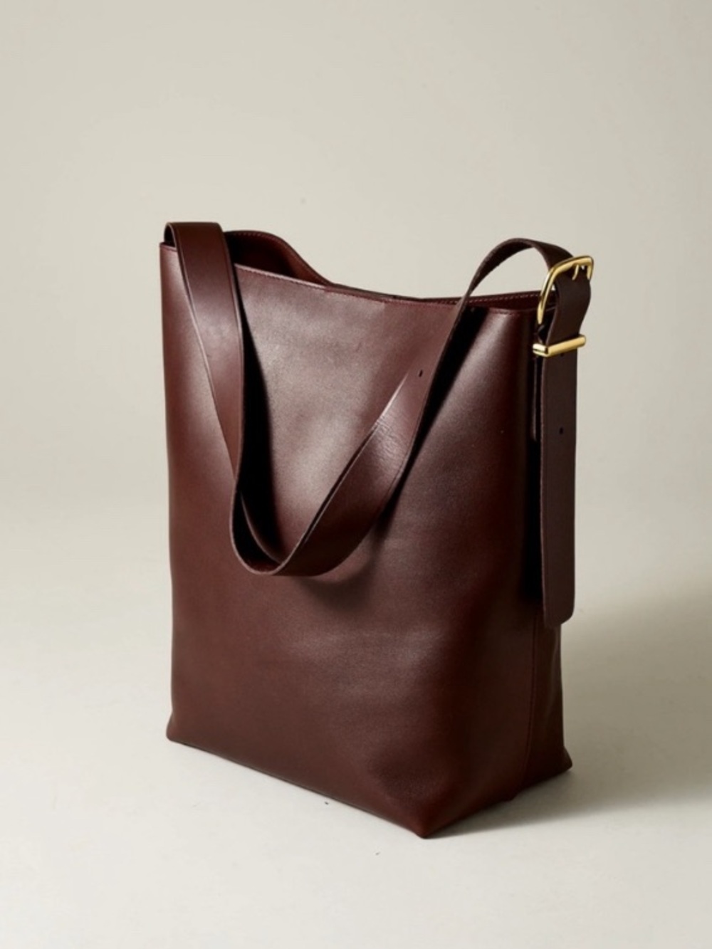 Madewell Bucket Bag Leather Tote Bag in Chocolate Raisin